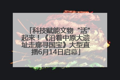 科技赋能文物“活”起来！《沿着中原大遗址走廊寻国宝》大型直播6月14日启幕