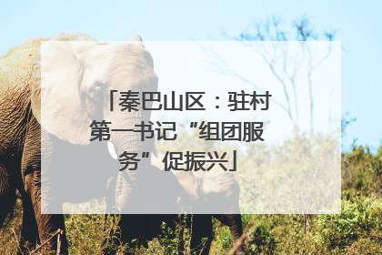 秦巴山区：驻村第一书记“组团服务”促振兴