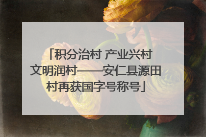 积分治村 产业兴村 文明润村——安仁县源田村再获国字号称号