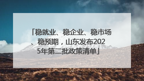 稳就业、稳企业、稳市场、稳预期，山东发布2025年第二批政策清单