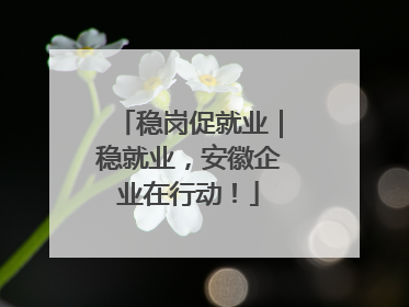 稳岗促就业｜稳就业，安徽企业在行动！
