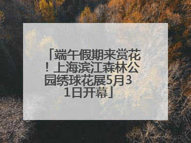 端午假期来赏花！上海滨江森林公园绣球花展5月31日开幕