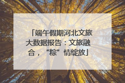 端午假期河北文旅大数据报告：文旅融合，“粽”情绽放