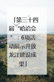 第三十四届“哈洽会”：6项活动展示开放龙江建设成果