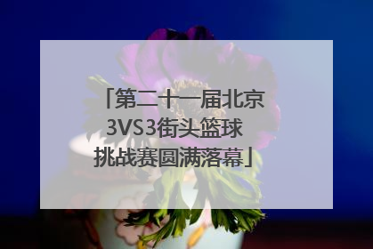 第二十一届北京3VS3街头篮球挑战赛圆满落幕