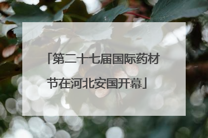 第二十七届国际药材节在河北安国开幕