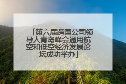 第六届跨国公司领导人青岛峰会通用航空和低空经济发展论坛成功举办