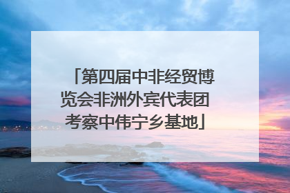第四届中非经贸博览会非洲外宾代表团考察中伟宁乡基地