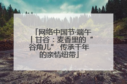 网络中国节·端午丨甘谷：麦香里的“谷角儿” 传承千年的亲情纽带