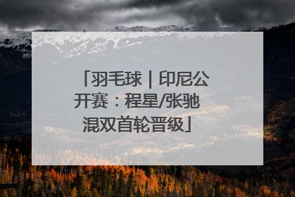 羽毛球｜印尼公开赛：程星/张驰混双首轮晋级