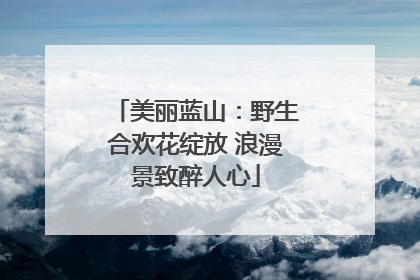 美丽蓝山：野生合欢花绽放 浪漫景致醉人心