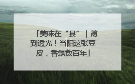 美味在“县”｜薄到透光！当阳这张豆皮，香飘数百年