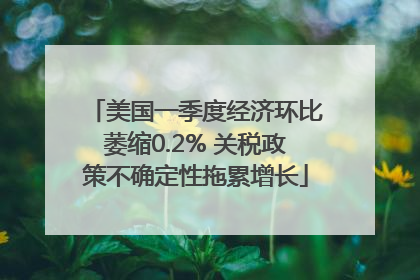美国一季度经济环比萎缩0.2% 关税政策不确定性拖累增长