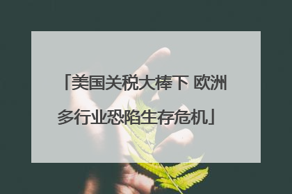 美国关税大棒下 欧洲多行业恐陷生存危机
