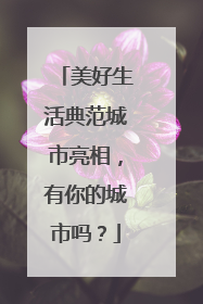 美好生活典范城市亮相，有你的城市吗？