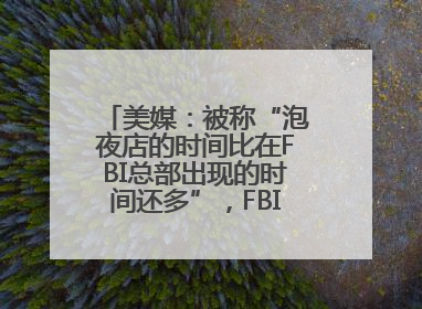 美媒：被称“泡夜店的时间比在FBI总部出现的时间还多”，FBI局长提起诉讼