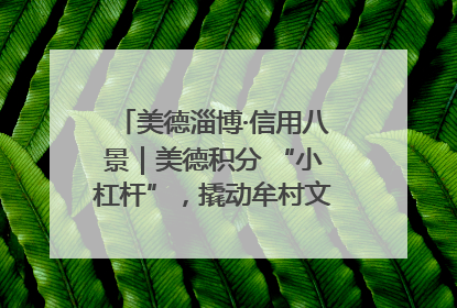 美德淄博·信用八景｜美德积分 “小杠杆”，撬动牟村文明 “大能量”