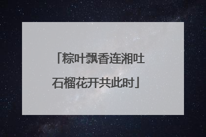 粽叶飘香连湘吐 石榴花开共此时