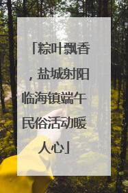 粽叶飘香，盐城射阳临海镇端午民俗活动暖人心