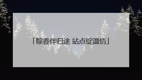 粽香伴归途 站点绽温情