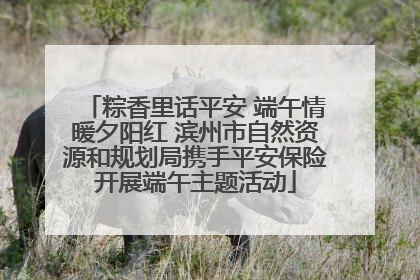 粽香里话平安 端午情暖夕阳红 滨州市自然资源和规划局携手平安保险开展端午主题活动