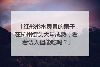 红彤彤水灵灵的果子，在杭州街头大量成熟，看着诱人但能吃吗？
