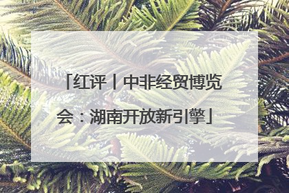 红评丨中非经贸博览会：湖南开放新引擎