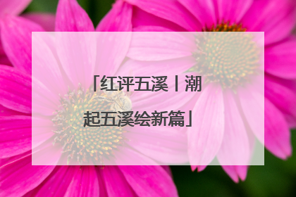 红评五溪丨潮起五溪绘新篇