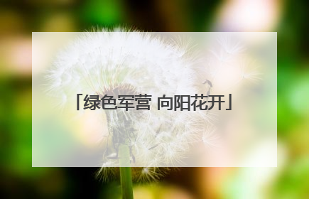 绿色军营 向阳花开