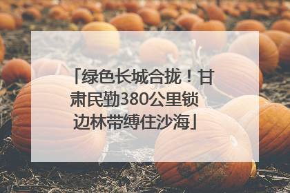 绿色长城合拢！甘肃民勤380公里锁边林带缚住沙海