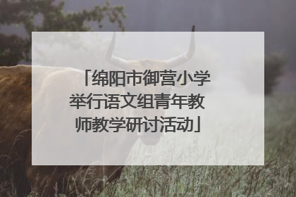 绵阳市御营小学举行语文组青年教师教学研讨活动