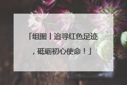 组图丨追寻红色足迹，砥砺初心使命！