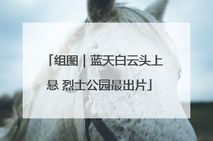 组图｜蓝天白云头上悬 烈士公园最出片