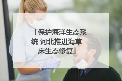 保护海洋生态系统 河北推进海草床生态修复