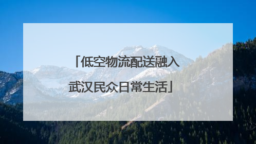 低空物流配送融入武汉民众日常生活