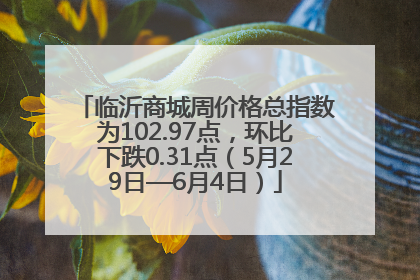 临沂商城周价格总指数为102.97点，环比下跌0.31点（5月29日—6月4日）