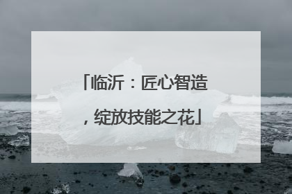 临沂：匠心智造，绽放技能之花