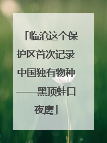 临沧这个保护区首次记录中国独有物种——黑顶蛙口夜鹰