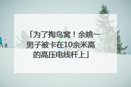 为了掏鸟窝！余姚一男子被卡在10余米高的高压电线杆上