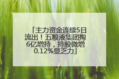 主力资金连续5日流出！五粮液集团掏6亿增持，持股微增0.12%显乏力