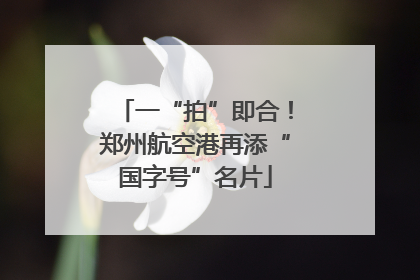 一“拍”即合！郑州航空港再添“国字号”名片