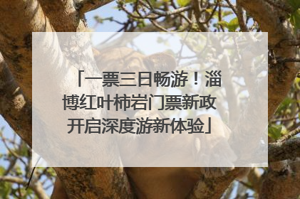 一票三日畅游！淄博红叶柿岩门票新政开启深度游新体验