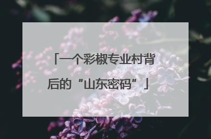 一个彩椒专业村背后的“山东密码”