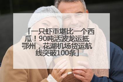 一只虾重堪比一个西瓜！90吨活波龙运抵鄂州，花湖机场货运航线突破100条