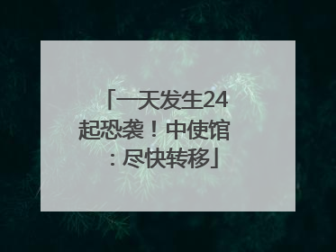 一天发生24起恐袭！中使馆：尽快转移