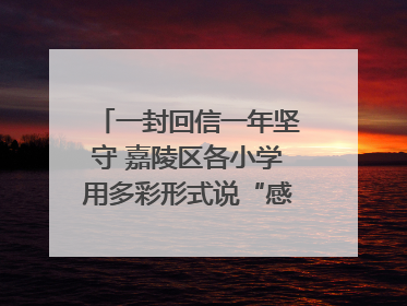 一封回信一年坚守 嘉陵区各小学用多彩形式说“感恩”｜风起之江 扶摇直上