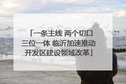 一条主线 两个切口 三位一体 临沂加速推动开发区建设领域改革