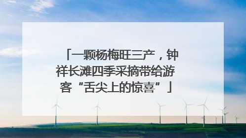 一颗杨梅旺三产，钟祥长滩四季采摘带给游客“舌尖上的惊喜”