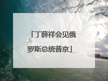 丁薛祥会见俄罗斯总统普京