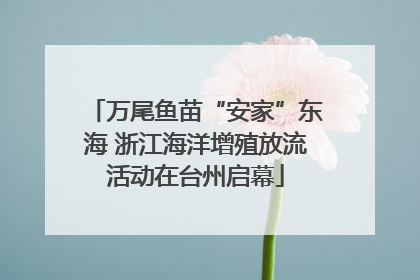 万尾鱼苗“安家”东海 浙江海洋增殖放流活动在台州启幕